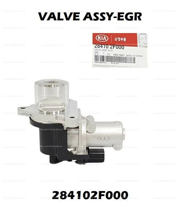 ⭐Genuine⭐ OEM EGR Valve Assy 284102F000 for Hyundai Kia