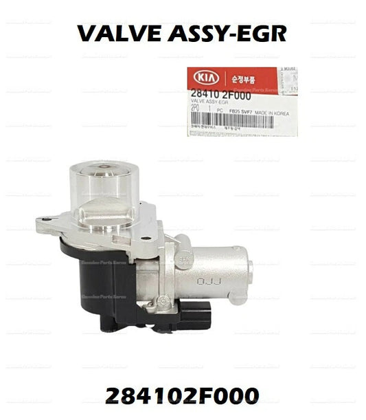 ⭐Genuine⭐ OEM EGR Valve Assy 284102F000 for Hyundai Kia