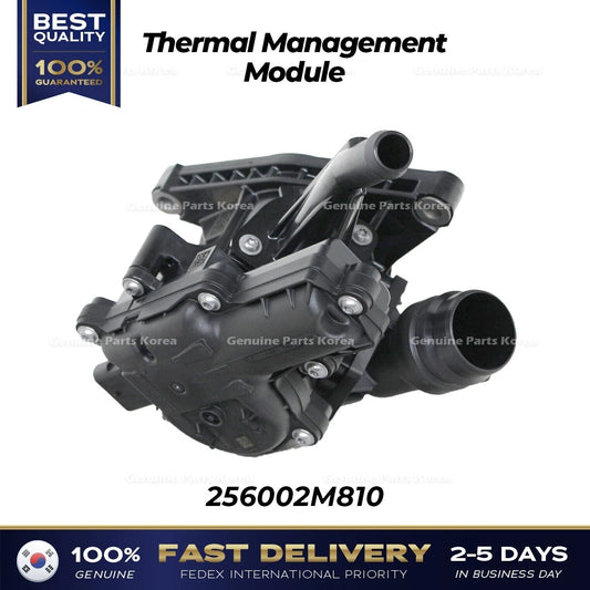 ⭐Genuine⭐ Thermal Management Module 256002M810 for Hyundai Elantra Kia Sorento