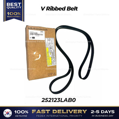 Genuine V Ribbed Belt 252123LAB0 for Kia Sedona
