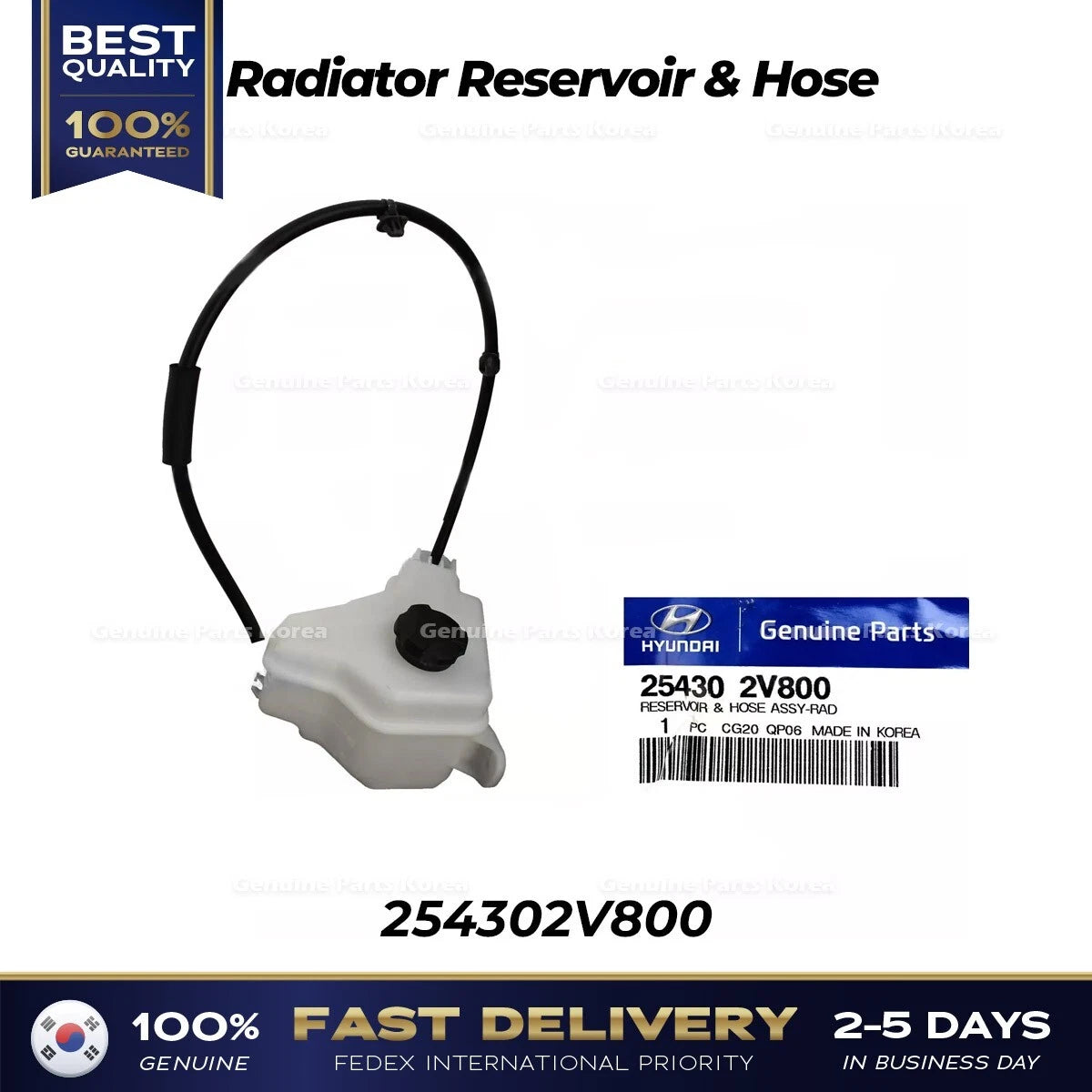 ⭐Genuine⭐ Radiator Reservoir & Hose 254302V800 for Hyundai Veloster