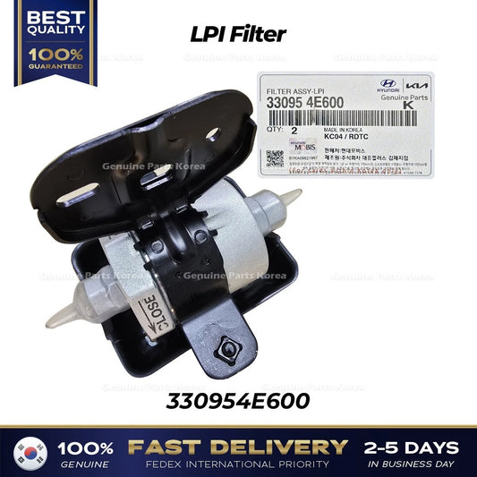 ⭐Genuine⭐ LPI Filter 330954E600 for Kia Bongo III