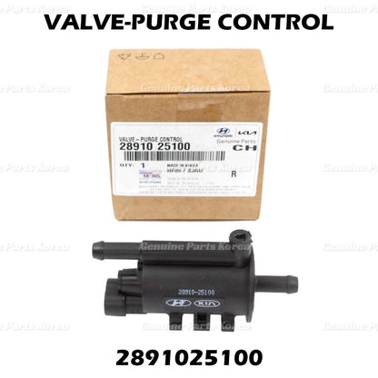 Genuine Vapor Canister Purge Valve 2891025100 for Hyundai & Kia 2006-2018