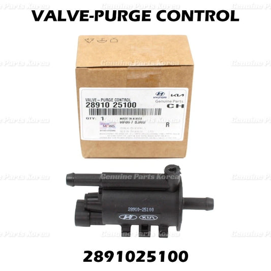⭐Genuine⭐ Vapor Canister Purge Valve 2891025100 for Hyundai & Kia 2006-2018