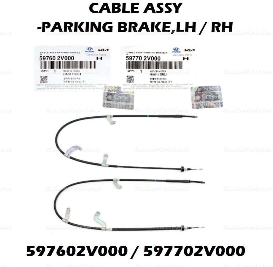 597602V000 597702V000