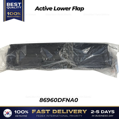 Genuine Active Lower Flap 86960DFNA0 for Hyundai Kona Hybrid