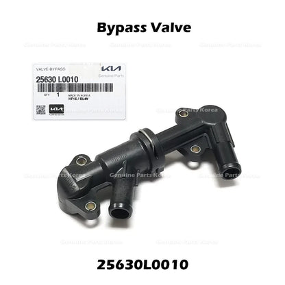 Genuine Bypass Valve 25630L0010 for Hyundai Santa Cruz Tucson Kia Sorento