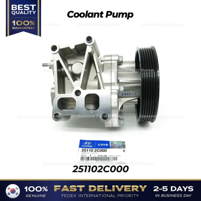 Genuine Coolant Pump 251102C000 for Hyundai H1 Grand Starex