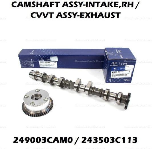 249003CAM0 243503C113
