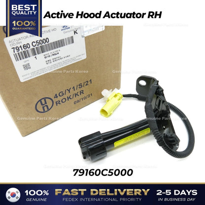 Genuine Active Hood Actuator RH 79160C5000 for Kia Sorento