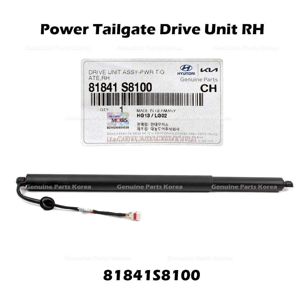 ⭐Genuine⭐ Power Tailgate Drive Unit RH 81841S8100 for Hyundai Palisade