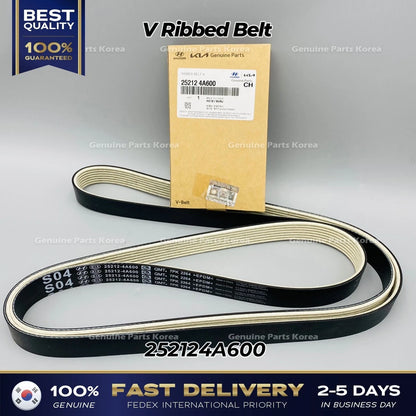 Genuine V Ribbed Belt 252124A600 for Hyundai H1 Grand Starex