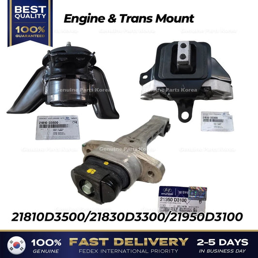 ⭐Genuine⭐ Engine & Trans Mount 21810D3500 21830D3300 21950D3100 for Tucson