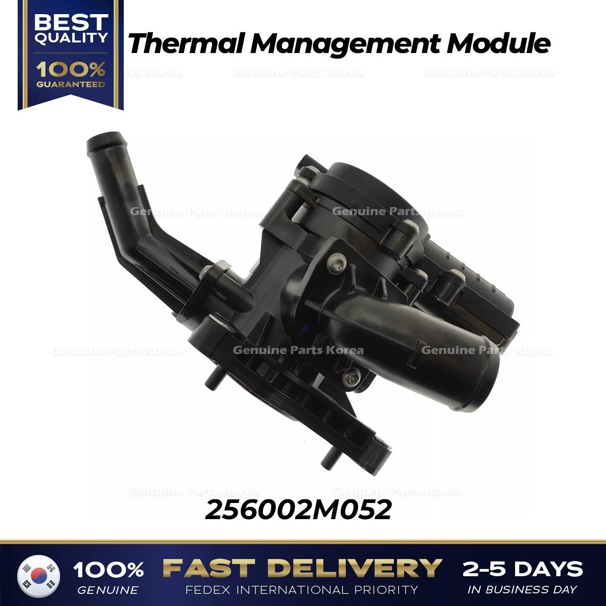 ⭐Genuine⭐ Thermal Management Module 256002M052 for Hyundai Accent