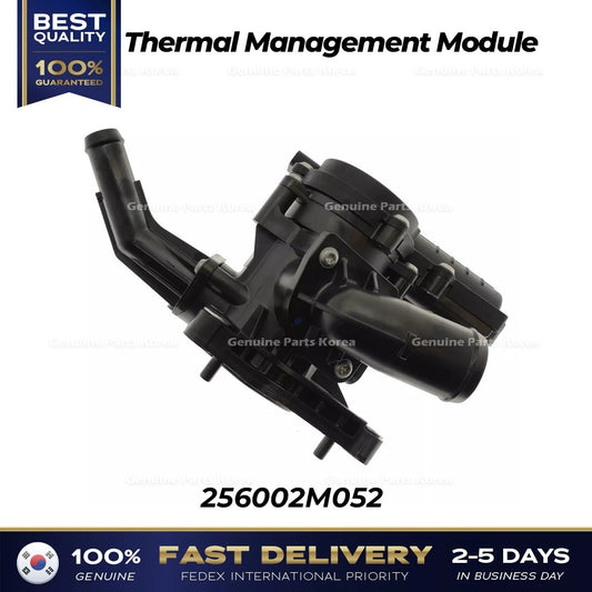 ⭐Genuine⭐ Thermal Management Module 256002M052 for Hyundai Accent