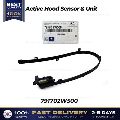 Genuine Active Hood Sensor & Unit 791702W500 for Hyundai Santa Fe