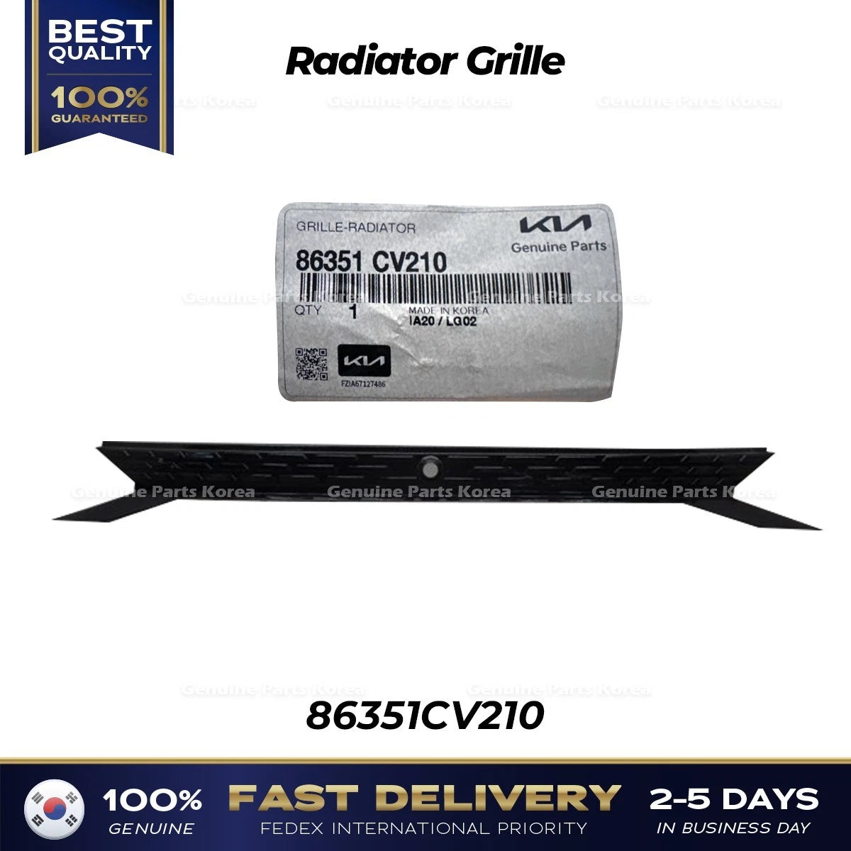 ⭐Genuine⭐ Radiator Grille 86351CV210 for Kia EV6 GT