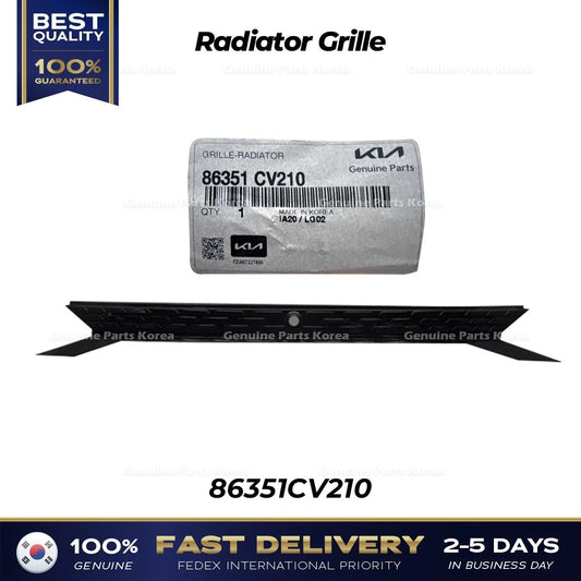 ⭐Genuine⭐ Radiator Grille 86351CV210 for Kia EV6 GT