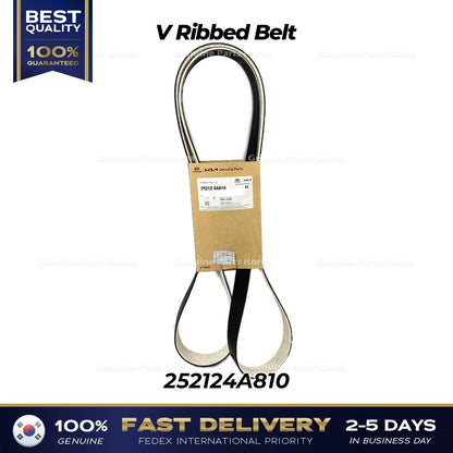 Genuine V Ribbed Belt 252124A810 for Hyundai H100 Porter II