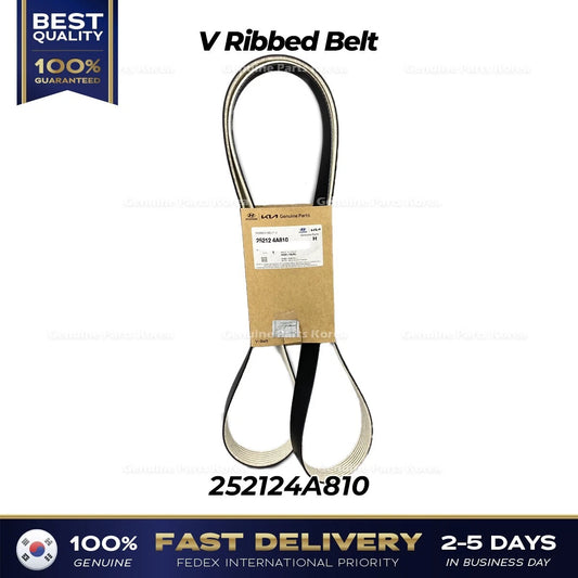 ⭐Genuine⭐ V Ribbed Belt 252124A810 for Hyundai H100 Porter II