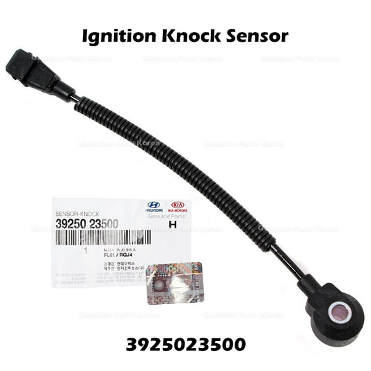 3925023500