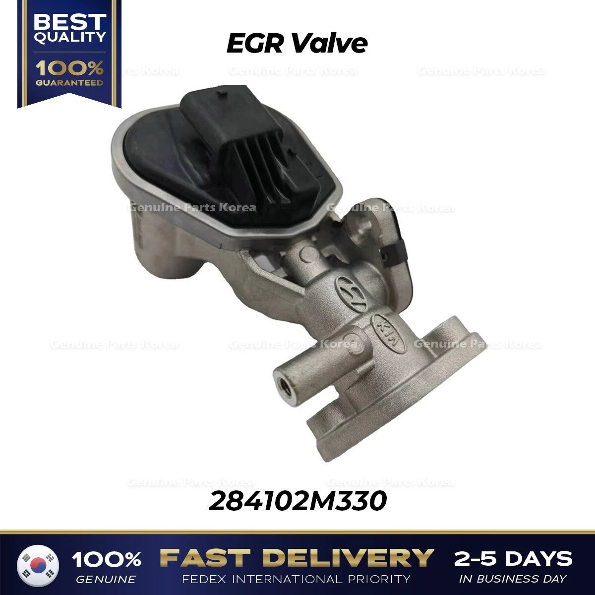 ⭐Genuine⭐ EGR Valve 284102M330 for Hyundai Accent Kia Rio