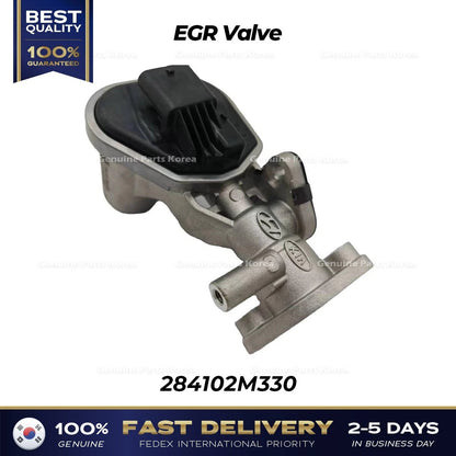 Genuine EGR Valve 284102M330 for Hyundai Accent Kia Rio
