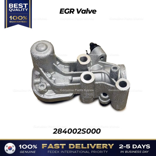⭐Genuine⭐ EGR Valve 284002S000 for Hyundai Santa Fe Kia Sorento
