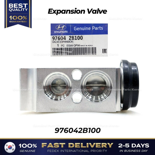 ⭐Genuine⭐ Expansion Valve 976042B100 for Hyundai Santa Fe Kia Sorento