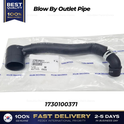 Genuine Blow By Outlet Pipe 1730100371 for Ssangyong Tivoli
