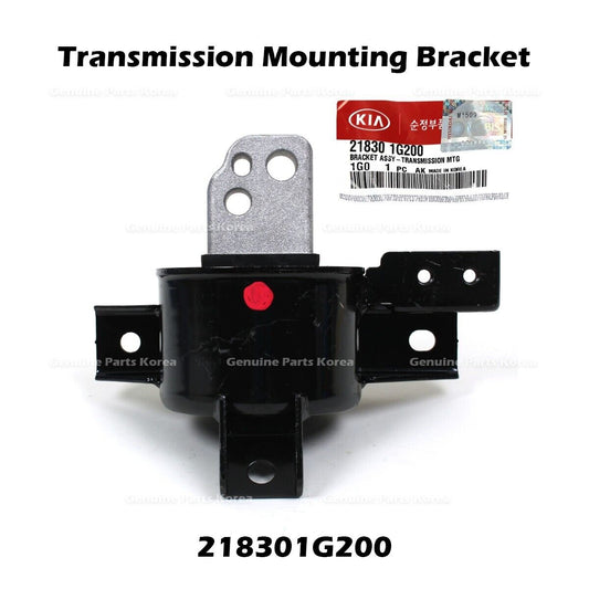 218301G200