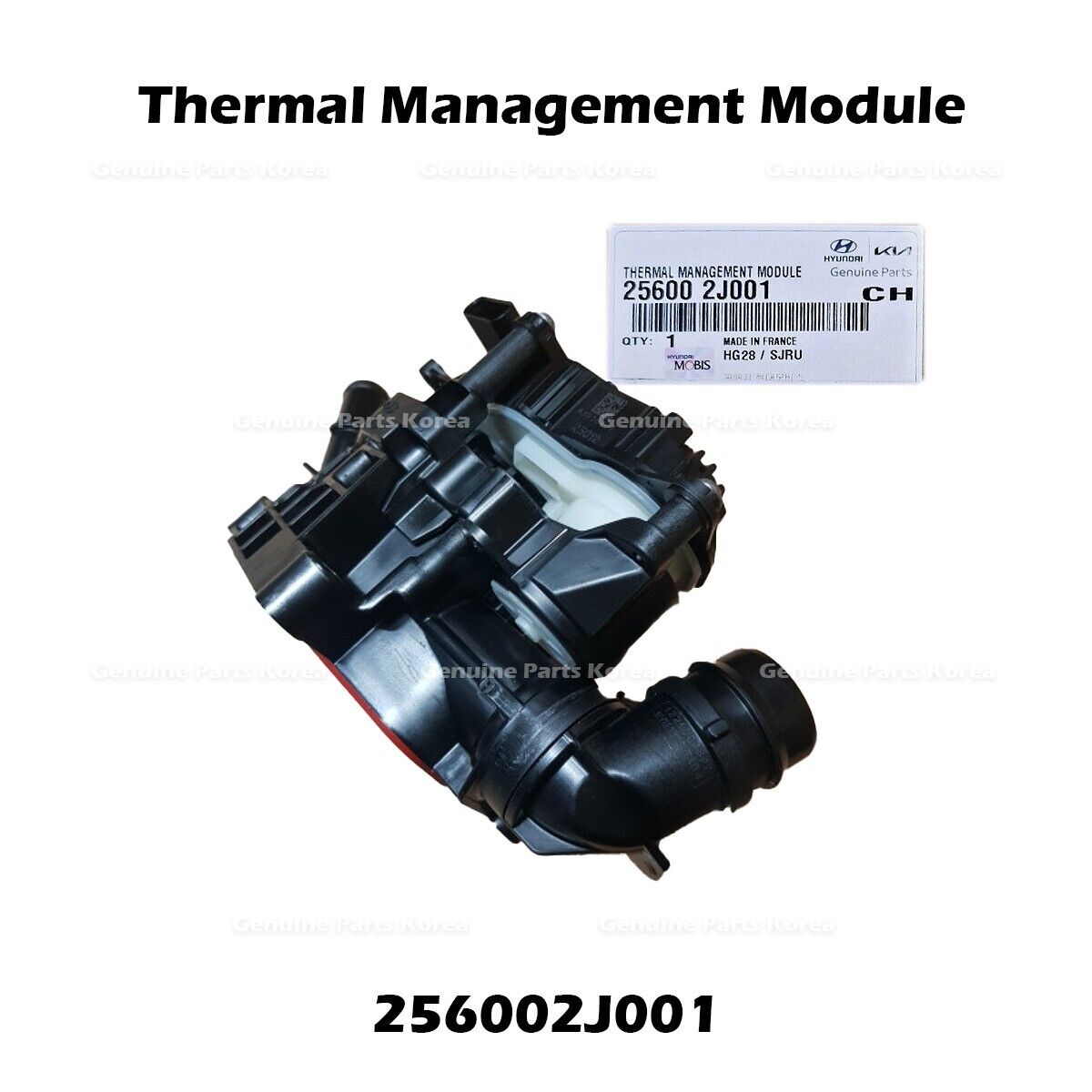 256002J001